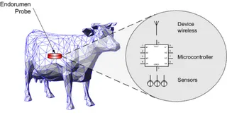 CowCom